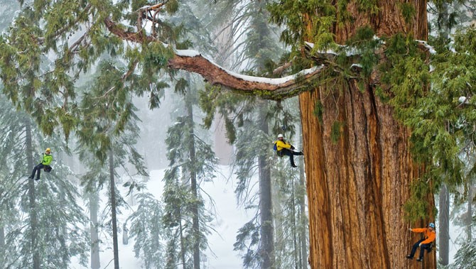 01-sequoia-climbing-team-670-934x